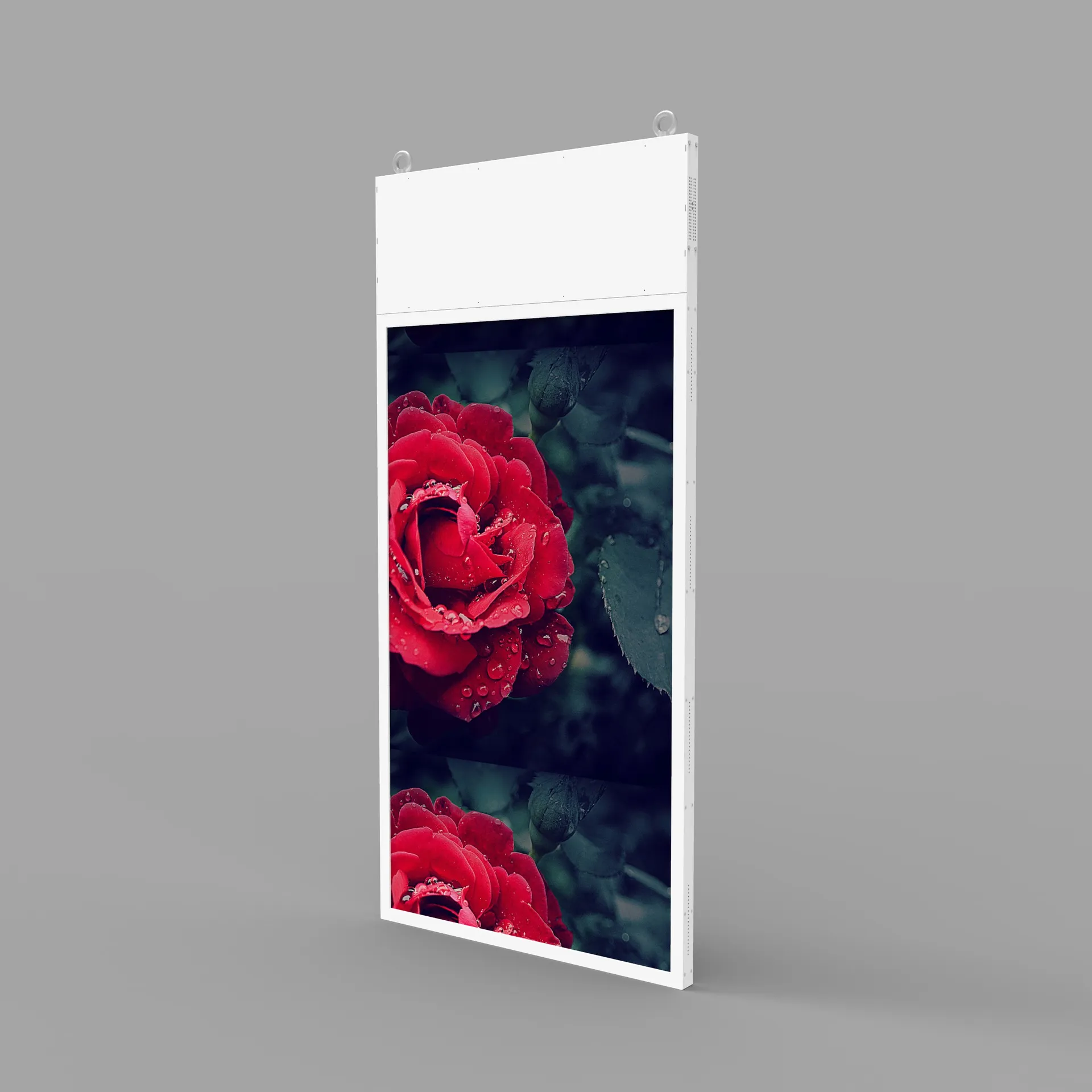 43" Hanging Double-Sided Digital Signage 1 43" Hanging Double-Sided Digital Signage