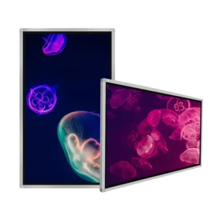 55" Wall Mounting Digital Signage